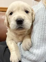 processed/1c650dc0-6adf-463a-a3cc-126cb4bf4241/listing/7f6c143c-7f31-4919-bb3e-ce82748739ea/4e2203ba-3364-4175-9fda-6dd82d6aeee8