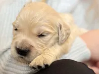 processed/1c650dc0-6adf-463a-a3cc-126cb4bf4241/listing/8fc8eef5-40e9-4336-9dfb-aa1ad2bc0638/f566a08c-375d-4ff3-b5e5-743c87c138b2