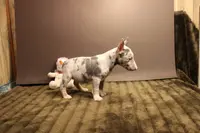 processed/1c7bb6f1-c58a-4c5e-8dbd-2546c3973284/listing/172a4615-657c-40ca-a69a-88a1107c1d03/50f1eed2-37ad-46fa-b007-e762c0d16627