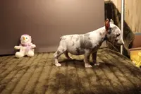 processed/1c7bb6f1-c58a-4c5e-8dbd-2546c3973284/listing/172a4615-657c-40ca-a69a-88a1107c1d03/ffabbbe5-0959-4f34-8b52-32818ed9cbcb