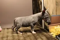 processed/1c7bb6f1-c58a-4c5e-8dbd-2546c3973284/listing/311939bc-26e2-4777-94ec-f76c67066895/072e9424-779e-4ebd-94a7-a7008db7ef2b