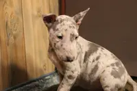 processed/1c7bb6f1-c58a-4c5e-8dbd-2546c3973284/listing/45a73296-f664-42c3-86e8-729e048fcd64/71598ebf-cced-4ca1-ba2c-a816156296ad