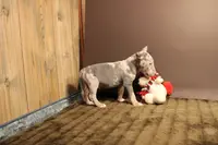 processed/1c7bb6f1-c58a-4c5e-8dbd-2546c3973284/listing/45a73296-f664-42c3-86e8-729e048fcd64/f70b7e5f-c3f9-494e-bbcb-7891cd7c1f4f