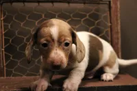 processed/1c7bb6f1-c58a-4c5e-8dbd-2546c3973284/listing/5db313ee-3ca0-47fe-a69a-07328c5a3582/024a6c62-9458-4dc6-a4b1-d1621f480cd0