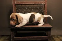 processed/1c7bb6f1-c58a-4c5e-8dbd-2546c3973284/listing/5db313ee-3ca0-47fe-a69a-07328c5a3582/5507312c-b2c2-4c06-a1af-4922edca1186