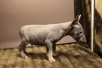 processed/1c7bb6f1-c58a-4c5e-8dbd-2546c3973284/listing/7df16749-4c2d-45d4-b35d-b7316985aa10/f59b5009-1dca-45ec-8cc7-2aa744601510