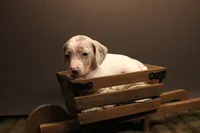 processed/1c7bb6f1-c58a-4c5e-8dbd-2546c3973284/listing/904c0cd4-74b8-4ab1-908b-94179bd2a288/683aa4f8-801b-43b3-ad86-891010e40e53