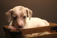 processed/1c7bb6f1-c58a-4c5e-8dbd-2546c3973284/listing/904c0cd4-74b8-4ab1-908b-94179bd2a288/9acb0a1d-86fa-43dd-a6bb-b96a8c694ef2