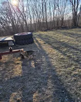 no collar, a female German Shepherd Dog for sale in Fennimore, WI – Photo 6 of 9