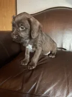 processed/1c81fe2a-360d-490e-9716-b5d472b5f039/listing/06a17356-61f9-4507-88ea-4078705a34bf/002e84bc-1f8f-45c0-81dd-49bed2d2cda7