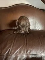 processed/1c81fe2a-360d-490e-9716-b5d472b5f039/listing/06a17356-61f9-4507-88ea-4078705a34bf/28c32596-950e-47aa-8e9b-1077b130109e