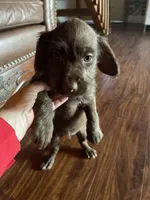 processed/1c81fe2a-360d-490e-9716-b5d472b5f039/listing/06a17356-61f9-4507-88ea-4078705a34bf/3de1ccbf-2fd7-46a0-b265-37989cf70500