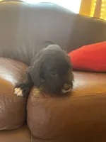 processed/1c81fe2a-360d-490e-9716-b5d472b5f039/listing/4c82912c-68f2-436e-9a93-04ce812f303b/80cd7954-ae26-4c54-b20f-e8c23be083d4