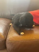 processed/1c81fe2a-360d-490e-9716-b5d472b5f039/listing/4c82912c-68f2-436e-9a93-04ce812f303b/930cfd0f-a8cd-4646-a89d-3664e2432abe