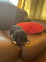 processed/1c81fe2a-360d-490e-9716-b5d472b5f039/listing/4c82912c-68f2-436e-9a93-04ce812f303b/d7867e94-20dd-4360-b398-25598a9e3139