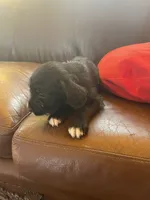 processed/1c81fe2a-360d-490e-9716-b5d472b5f039/listing/4c82912c-68f2-436e-9a93-04ce812f303b/e8d1ae98-7f87-46b3-9ecf-cc6ce6404eda