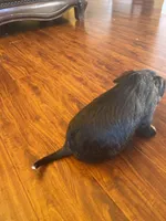 processed/1c81fe2a-360d-490e-9716-b5d472b5f039/listing/77b36b07-8d6b-4423-b2e8-a6830d4e4e70/0ef3631b-df95-4d3f-a041-7f988e1798eb