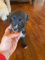 processed/1c81fe2a-360d-490e-9716-b5d472b5f039/listing/77b36b07-8d6b-4423-b2e8-a6830d4e4e70/525effee-a6ce-4abb-92f2-eae476706318