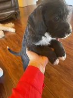 processed/1c81fe2a-360d-490e-9716-b5d472b5f039/listing/77b36b07-8d6b-4423-b2e8-a6830d4e4e70/e21d26af-4883-4722-940b-9a4ae6e45047