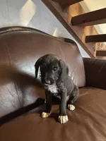 processed/1c81fe2a-360d-490e-9716-b5d472b5f039/listing/adb98d6b-2312-4ad2-82d2-b198d9a8282b/48c75f1f-a546-47ab-90c9-b7cbad3d8806