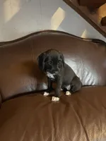 processed/1c81fe2a-360d-490e-9716-b5d472b5f039/listing/adb98d6b-2312-4ad2-82d2-b198d9a8282b/7886420a-416e-4097-b143-cec3510fe187