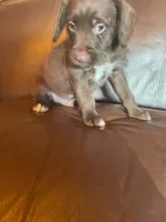 processed/1c81fe2a-360d-490e-9716-b5d472b5f039/listing/d3f253e7-ed99-4c10-8a71-cd24152c7c7e/1363083a-20d6-4ea6-9e0b-d7002267cd48