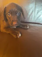 processed/1c81fe2a-360d-490e-9716-b5d472b5f039/listing/d3f253e7-ed99-4c10-8a71-cd24152c7c7e/7ce8e3e1-354a-4dbb-871d-6cf1a66dc0bc