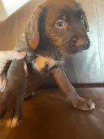 processed/1c81fe2a-360d-490e-9716-b5d472b5f039/listing/d3f253e7-ed99-4c10-8a71-cd24152c7c7e/8249c77d-07be-42e4-a240-18a65607d9fd