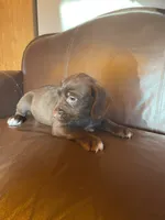 processed/1c81fe2a-360d-490e-9716-b5d472b5f039/listing/d3f253e7-ed99-4c10-8a71-cd24152c7c7e/d0258892-ab90-4598-8d35-5f32cb0a8422