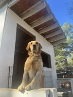 processed/1c841f21-8566-4f0e-a3e0-cba1322113ec/listing/8e521eb8-2908-46d9-b41d-3b7175753710/4fa872e8-469c-4187-a4ce-51ab640ef9d8