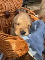 processed/1c841f21-8566-4f0e-a3e0-cba1322113ec/listing/8e521eb8-2908-46d9-b41d-3b7175753710/8b1e2cc2-d8a2-48d3-8cd2-5e282bd55b3f