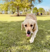 processed/1c841f21-8566-4f0e-a3e0-cba1322113ec/listing/8e521eb8-2908-46d9-b41d-3b7175753710/99dd7119-157c-43ba-86ef-a091b8794af0