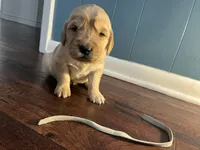 processed/1c841f21-8566-4f0e-a3e0-cba1322113ec/listing/8e521eb8-2908-46d9-b41d-3b7175753710/9a008ed3-42ce-4d0b-abd7-d5d594e857c2