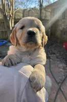 processed/1c841f21-8566-4f0e-a3e0-cba1322113ec/listing/8e521eb8-2908-46d9-b41d-3b7175753710/e7607f15-b821-4dc2-a3a5-3674027dfcb6