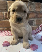 processed/1c841f21-8566-4f0e-a3e0-cba1322113ec/listing/8e521eb8-2908-46d9-b41d-3b7175753710/ff747e8b-0958-4e53-9169-35a07fc5521c