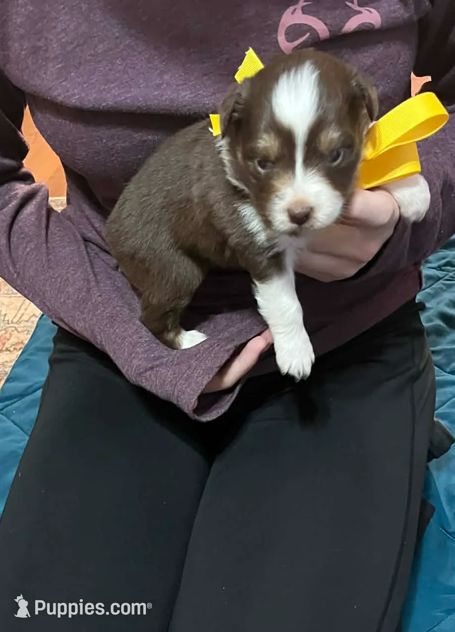 processed/1c895b87-514d-4354-b493-d6dfe17b568a/listing/0f4fe006-7c3e-4477-b581-0780b5429b4c/4ecb277a-c287-4299-b51b-c756ff89ea75