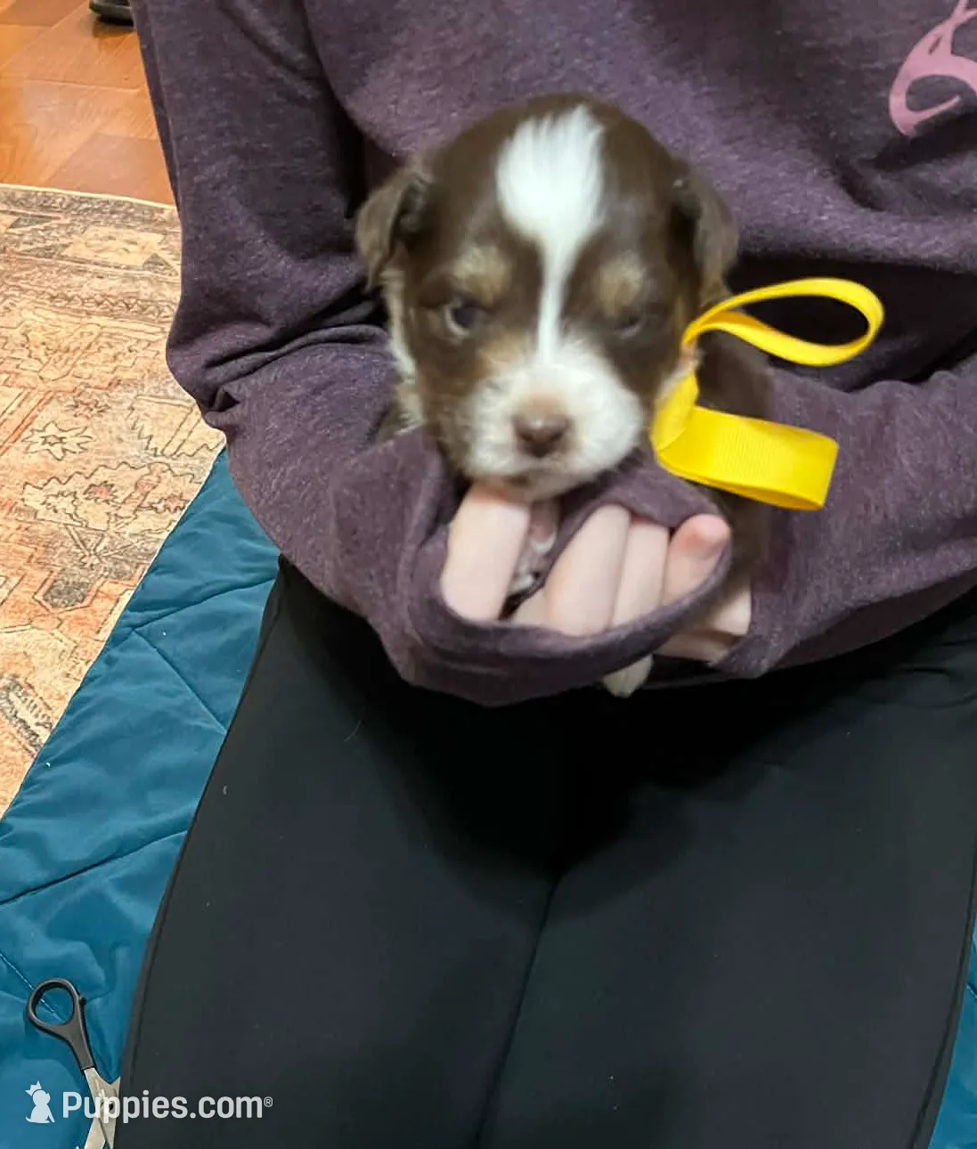 processed/1c895b87-514d-4354-b493-d6dfe17b568a/listing/0f4fe006-7c3e-4477-b581-0780b5429b4c/72e143cb-94b1-4924-b424-688597407ecc