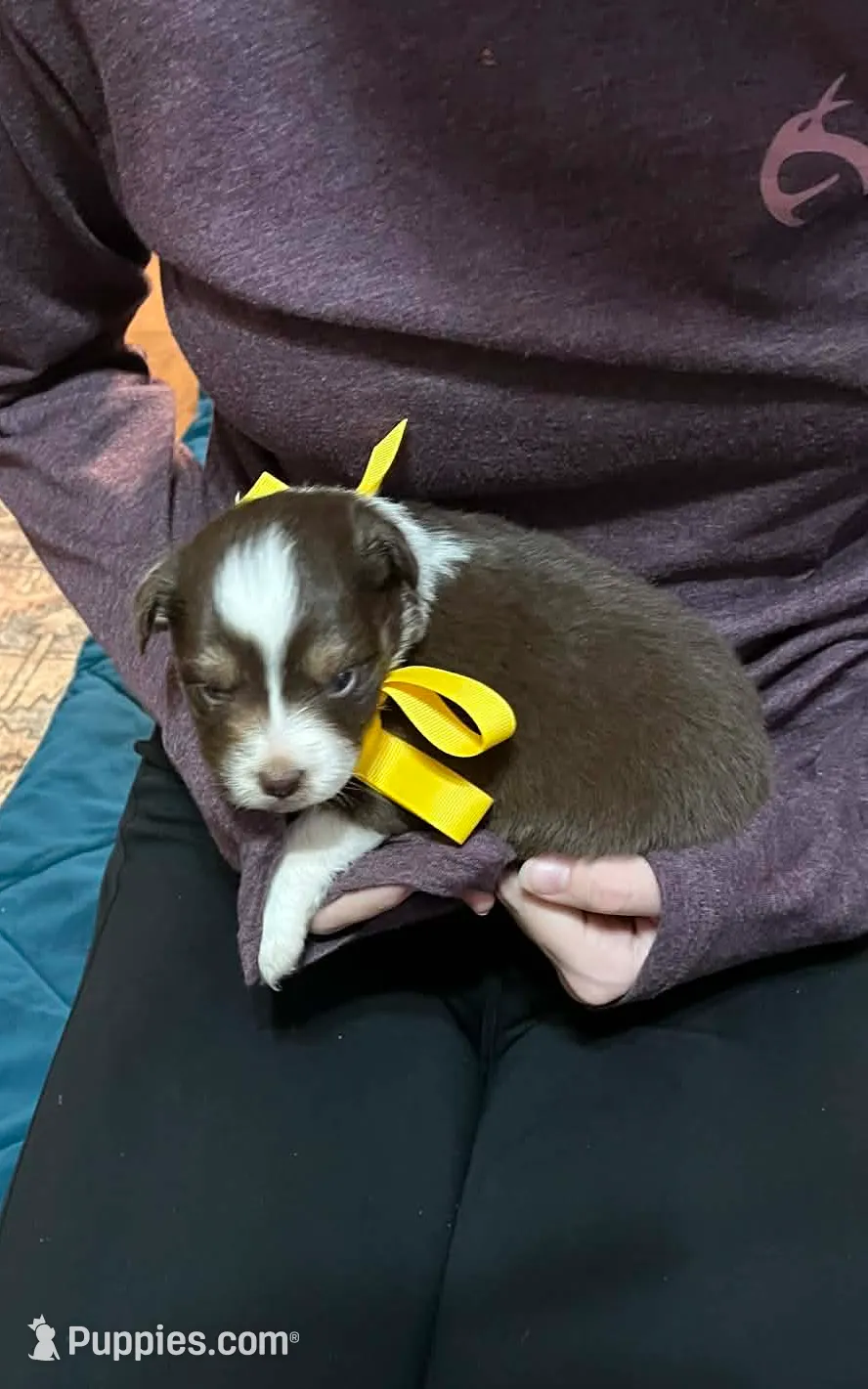 processed/1c895b87-514d-4354-b493-d6dfe17b568a/listing/0f4fe006-7c3e-4477-b581-0780b5429b4c/8d5dee33-7163-49dd-93d3-3ce38d5e2d70