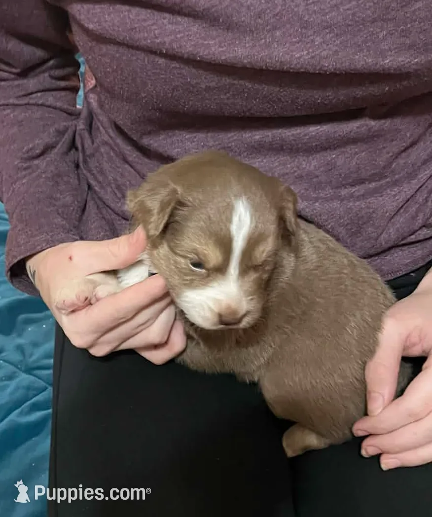 processed/1c895b87-514d-4354-b493-d6dfe17b568a/listing/a55aa4c3-3cfc-4675-a6d2-4f7c44c5ccf6/0f9fc125-f05d-4c45-ab73-603cd02ec521