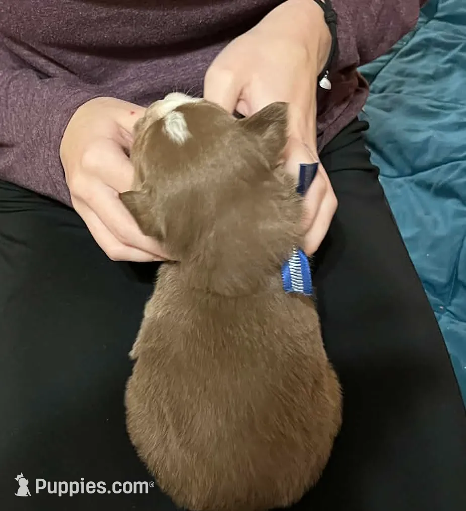 processed/1c895b87-514d-4354-b493-d6dfe17b568a/listing/a55aa4c3-3cfc-4675-a6d2-4f7c44c5ccf6/24950115-970f-44e3-a2c8-a510f66e5a15