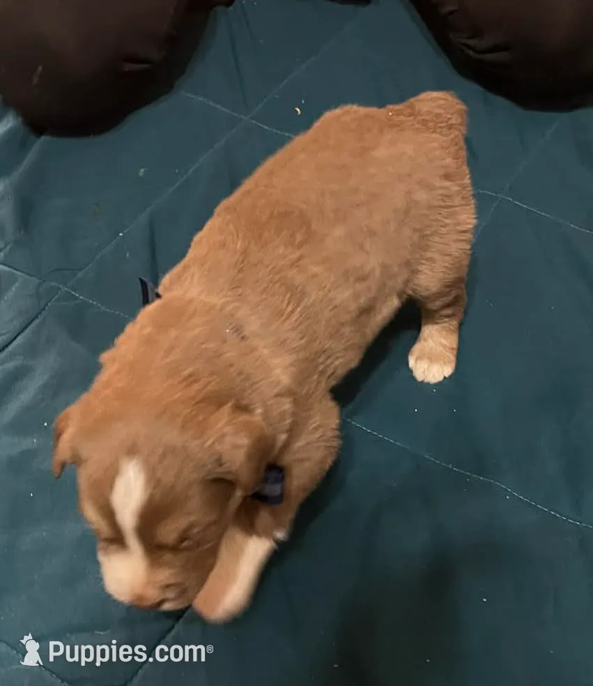 processed/1c895b87-514d-4354-b493-d6dfe17b568a/listing/a55aa4c3-3cfc-4675-a6d2-4f7c44c5ccf6/4c29ff7b-7181-4ab5-8aca-66991590f50c