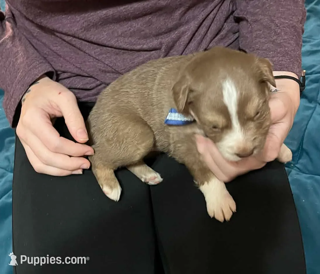 processed/1c895b87-514d-4354-b493-d6dfe17b568a/listing/a55aa4c3-3cfc-4675-a6d2-4f7c44c5ccf6/5436b897-6b3a-435a-b5c6-48a362ae64ca