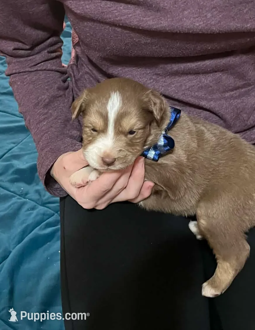 processed/1c895b87-514d-4354-b493-d6dfe17b568a/listing/a55aa4c3-3cfc-4675-a6d2-4f7c44c5ccf6/70d88d75-8609-4e5f-bdb6-809d37bd8b8c