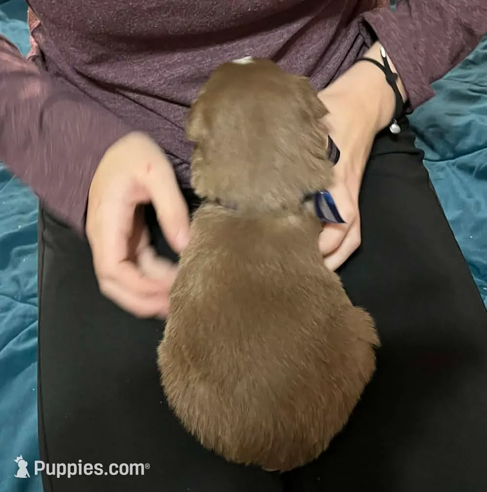 processed/1c895b87-514d-4354-b493-d6dfe17b568a/listing/a55aa4c3-3cfc-4675-a6d2-4f7c44c5ccf6/ba7cc49e-6d6f-4332-a3f8-b2009f9a2bc1