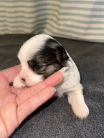 processed/1c91937d-55a4-4565-b01b-346704e3a167/listing/013a57ab-93af-4723-b9dc-2b3f635f6716/35345401-7c44-4744-b919-fb342fe9f5e8