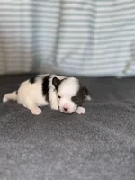 processed/1c91937d-55a4-4565-b01b-346704e3a167/listing/013a57ab-93af-4723-b9dc-2b3f635f6716/9090d269-a8db-46c3-971e-324aa2a0be3f