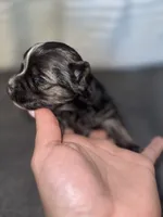 processed/1c91937d-55a4-4565-b01b-346704e3a167/listing/6f88484a-f93b-4ffc-b401-962ac3cf9f33/3391d446-a737-4cec-a6e7-9e88f1cce3ca