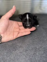 processed/1c91937d-55a4-4565-b01b-346704e3a167/listing/6f88484a-f93b-4ffc-b401-962ac3cf9f33/c63a5e94-c468-4895-b8bb-58faba1a6a29