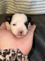 processed/1c91937d-55a4-4565-b01b-346704e3a167/listing/969741d9-53e6-43c1-b45c-8aabdf2748b6/7e6d669c-0e55-4545-9ef6-237bf816edad