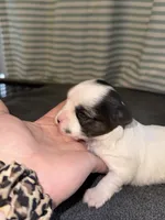 processed/1c91937d-55a4-4565-b01b-346704e3a167/listing/969741d9-53e6-43c1-b45c-8aabdf2748b6/be43bad3-e2b6-4dfa-a055-381dc9cf4927